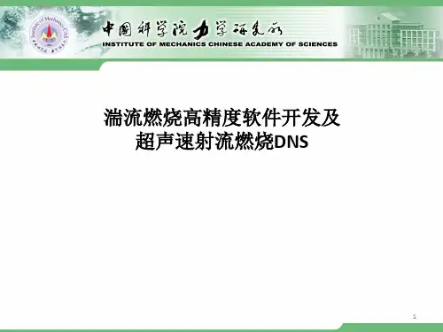 湍流燃烧高精度数值模拟软件开发及射流燃烧DNS-李新亮