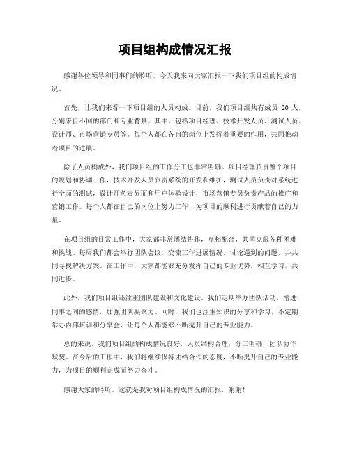项目组构成情况汇报