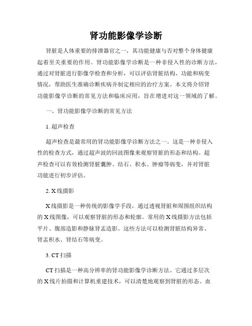 肾功能影像学诊断