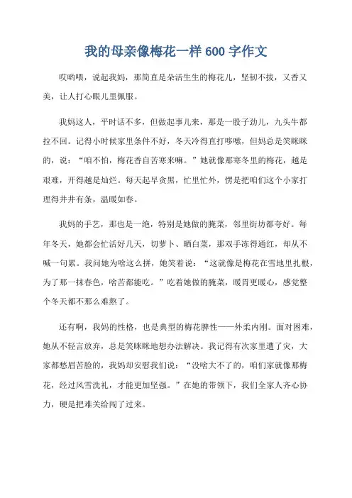 我的母亲像梅花一样600字作文
