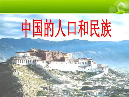 中国人口和民族PPT