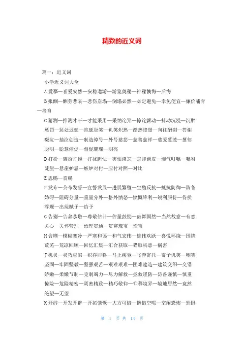 精致的近义词