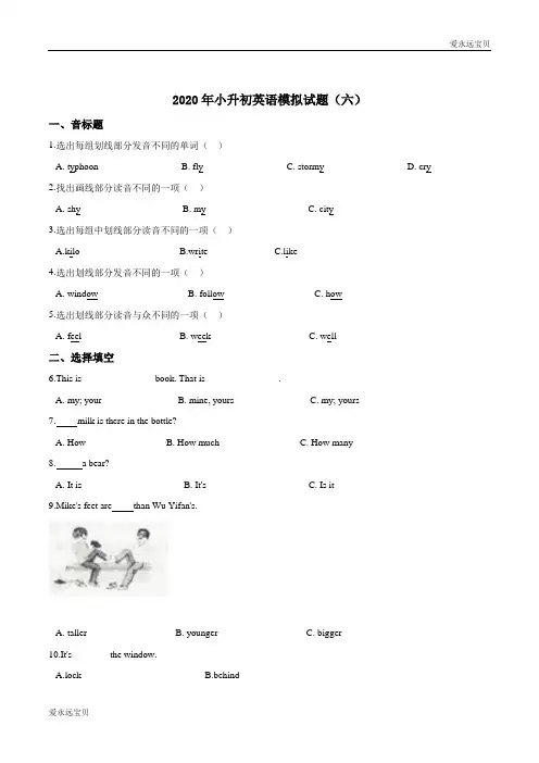 2020年小升初英语模拟必刷题(六) (湘少版含答案)