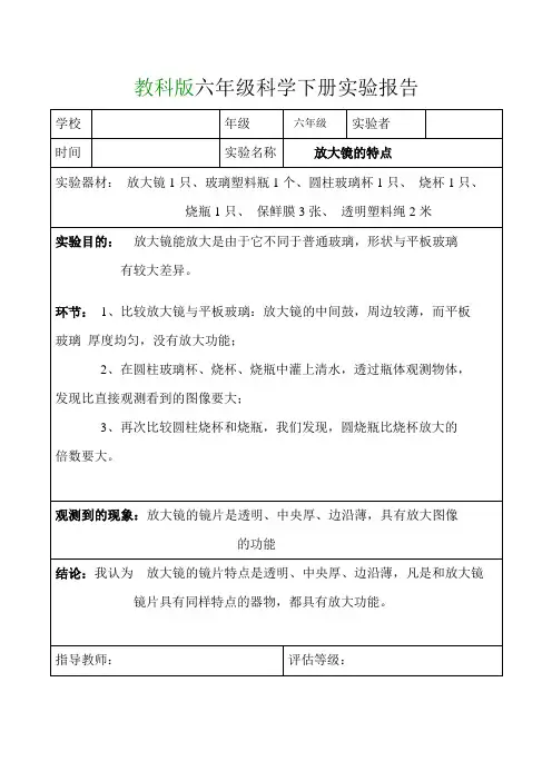 2023年教科版六年级科学下册实验报告单2