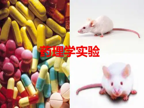 药理实验PPT课件