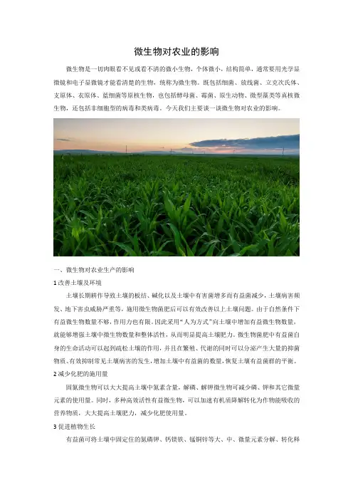 微生物对农业的影响