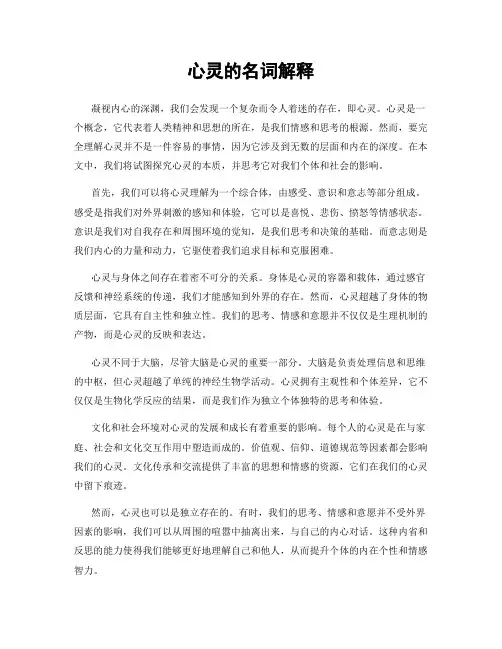 心灵的名词解释