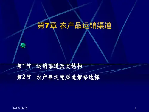 关于农产品运销渠道策略选择.pptx