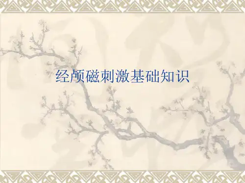 经颅磁刺激基础知识