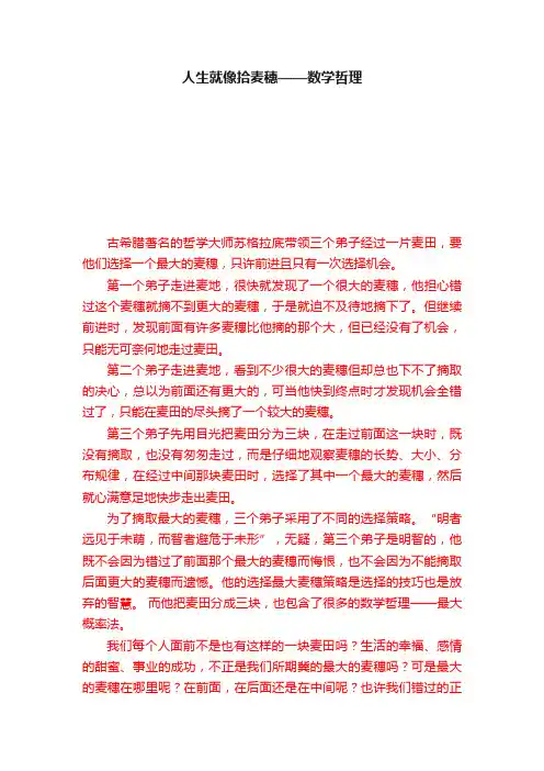 人生就像拾麦穗——数学哲理