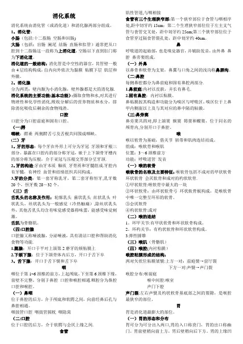 人体解剖学重点笔记