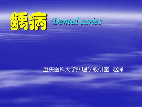 6龋病