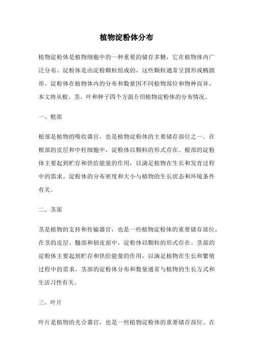 植物淀粉体分布