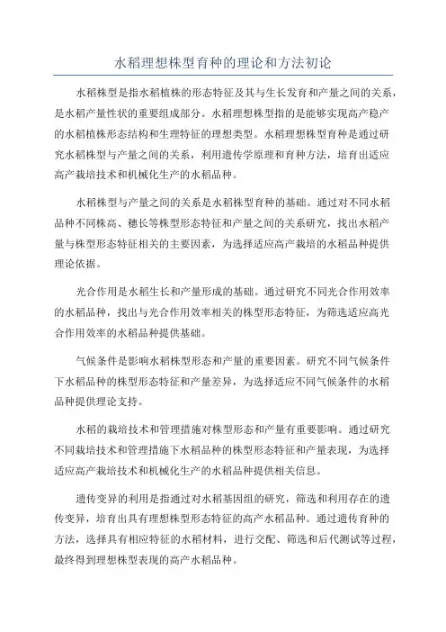 水稻理想株型育种的理论和方法初论
