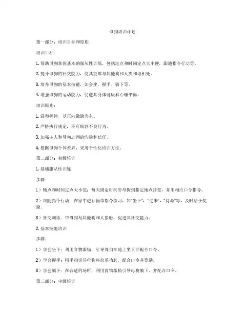 母狗培训计划