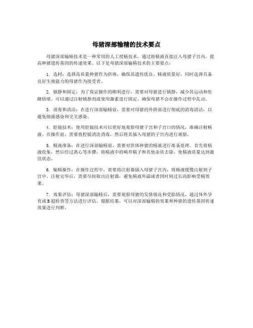 母猪深部输精的技术要点