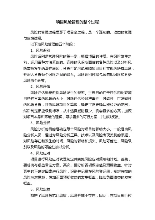 项目风险管理的整个过程