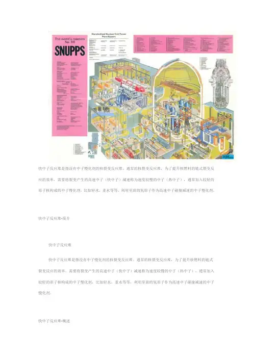 快中子反应堆