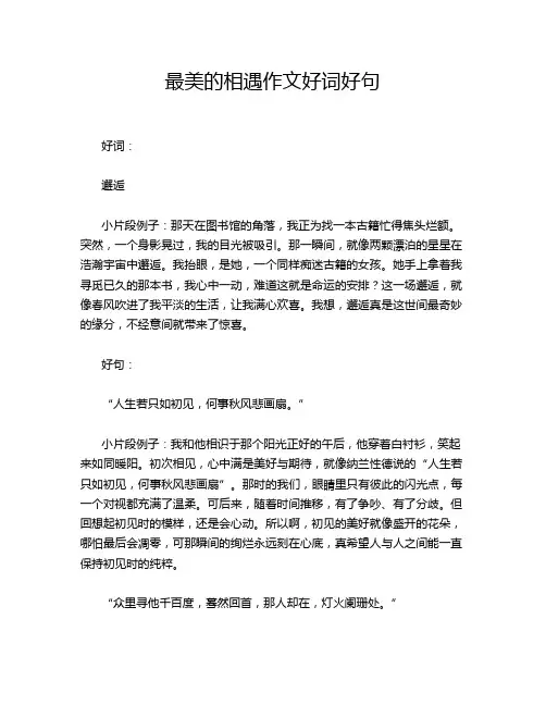 最美的相遇作文好词好句