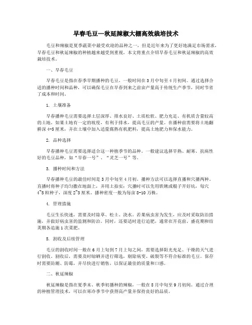 早春毛豆—秋延辣椒大棚高效栽培技术