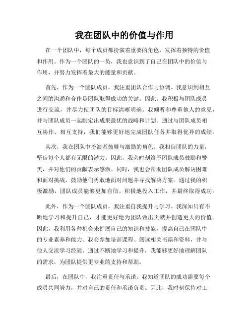 我在团队中的价值与作用