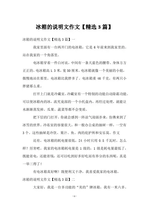 冰箱的说明文作文【3篇】