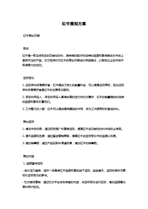 红牛策划方案