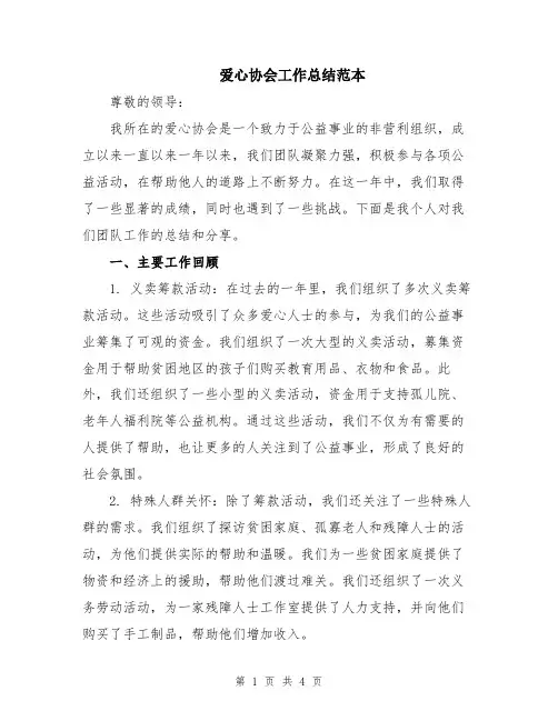 爱心协会工作总结范本