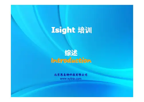 思易特公司_Isight_01_产品概述