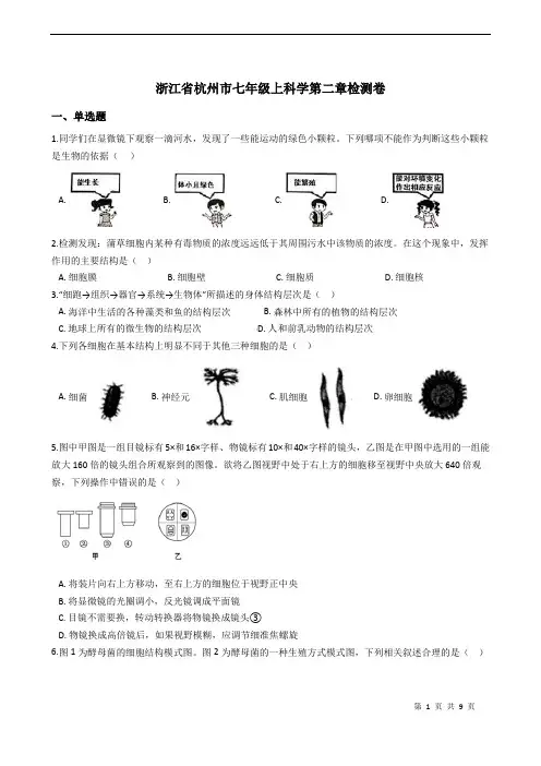 浙教版七年级科学上册 第二章 观察生物 检测卷带答案