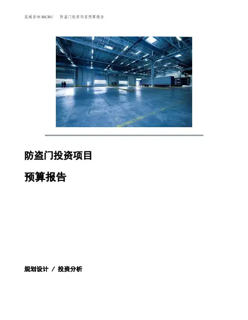 防盗门投资项目预算报告