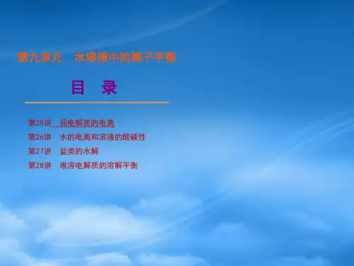 高考化学第一轮复习 第9单元 水溶液中的离子平衡精品课件 新人教 新课标