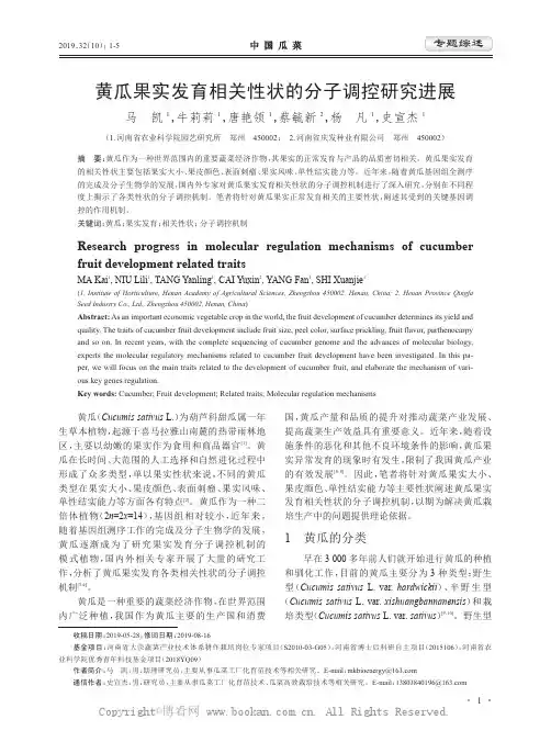 黄瓜果实发育相关性状的分子调控研究进展