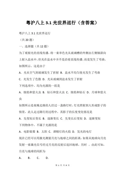 粤沪八上3.1光世界巡行(含答案)