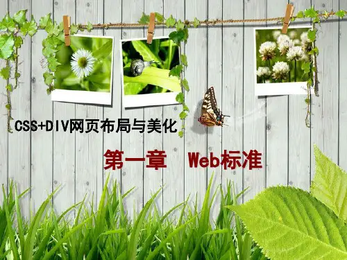 1.Web标准CSSDIV网页布局与美化ppt课件