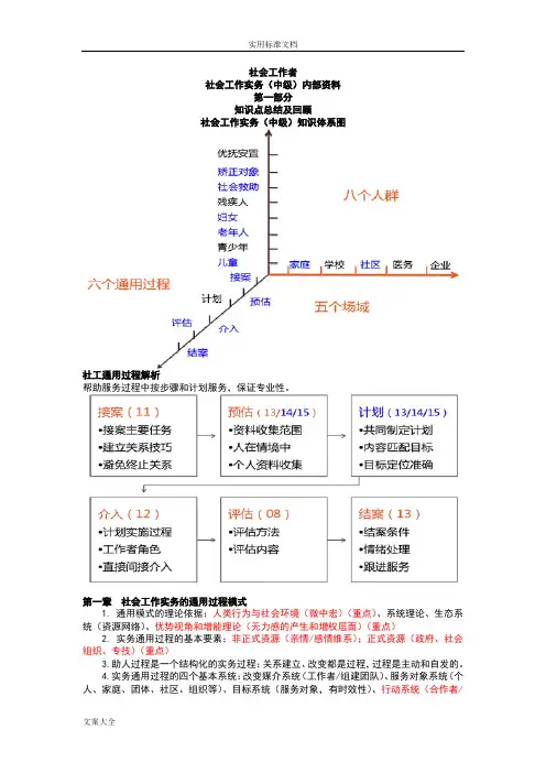 社会工作实务(中级)(内部资料)