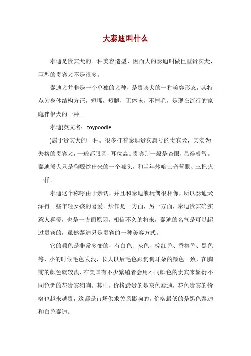 大泰迪叫什么