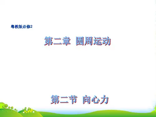 新粤教版必修2物理2.2 向心力 课件2