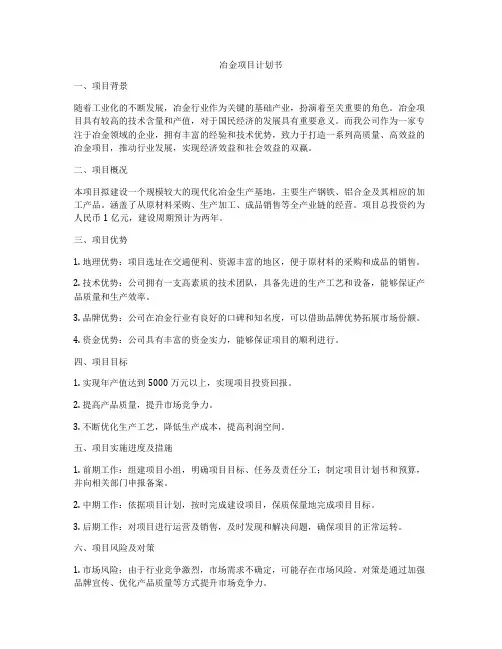 冶金项目计划书