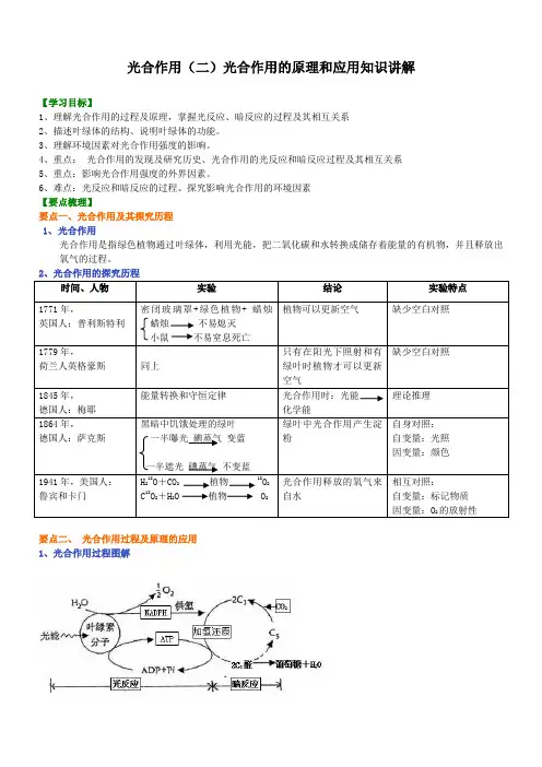 11光合作用(二)光合作用的原理和应用知识讲解