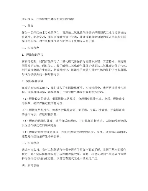 二氧化碳实习报告