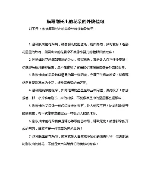 描写刚长出的花朵的外貌佳句