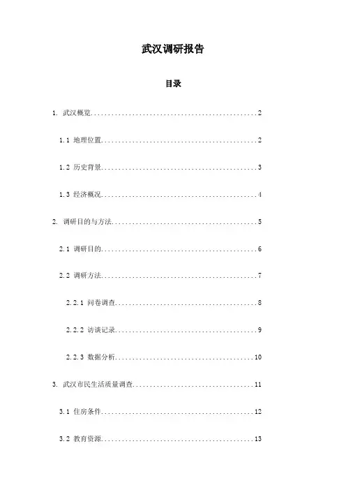 武汉调研报告