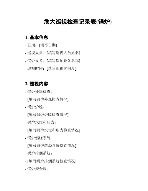 危大巡视检查记录表(锅炉)