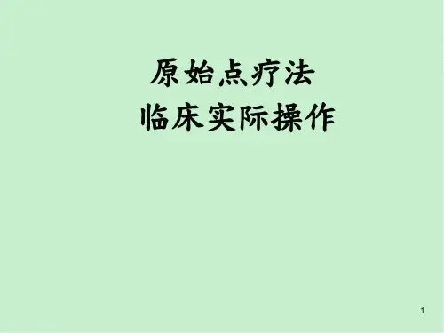 原始点疗法手法ppt课件