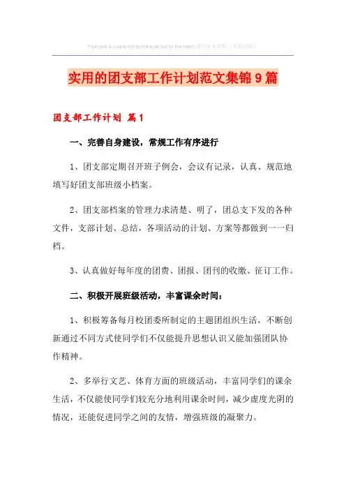 实用的团支部工作计划范文集锦9篇