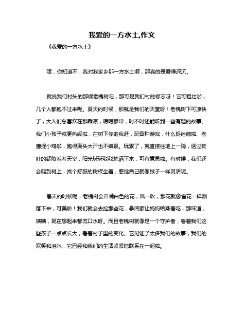 我爱的一方水土,作文