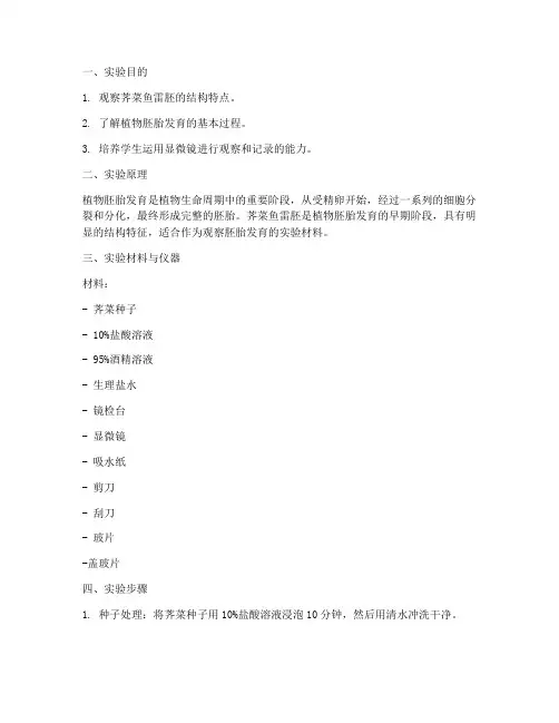 荠菜鱼雷胚实验报告