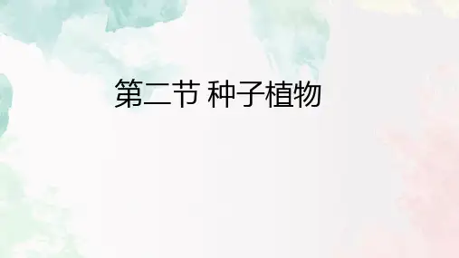 3.1.2种子植物课件2023--2024学年人教版生物七年级上册
