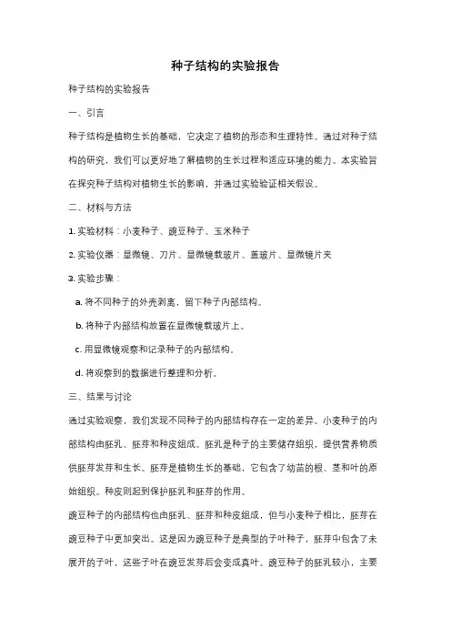 种子结构的实验报告